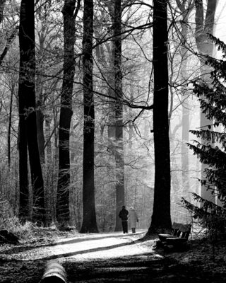Waldspaziergang.jpg – Burkhard Pook