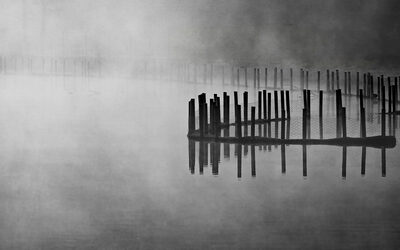 Nebel.jpg – Burkhard Pook