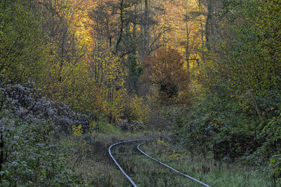 Platz 03 _DSC2430_auf_dem_weg_in_den_herbst.jpg – Heike Schäfer