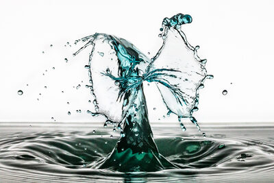 blaue Wasserfliege – Günther Weber
