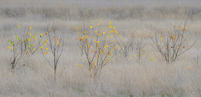 Platz 03 _DSC3013_kleine_herbstimpression.jpg – Heike Schäfer