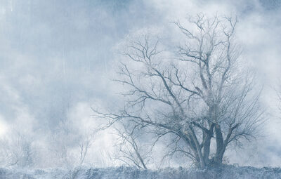Platz 05 Nebel_Ruhr.jpg – Brigitte Voss