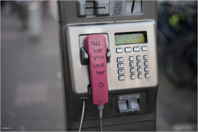 Tell her you love her - Deutschland (2024).jpg – Volkhart Li