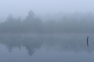 Platz 12 Nebel-Venner-Moor.jpg – Brigitte Voss