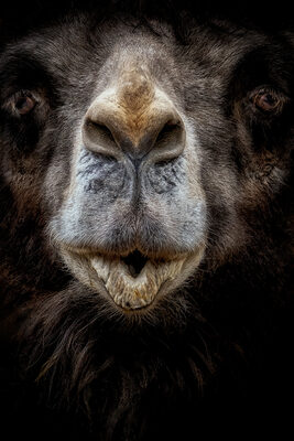 shooting.jpg – Michael Stenschke