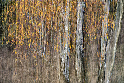 HS_XXI.jpg – Heike Schäfer