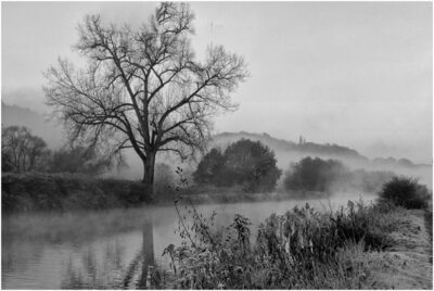 4 - Morgennebel - 2018 Ruhrtal Bochum.jpg – Christa Weiß