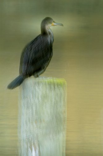 Foto von Beate Scheffler